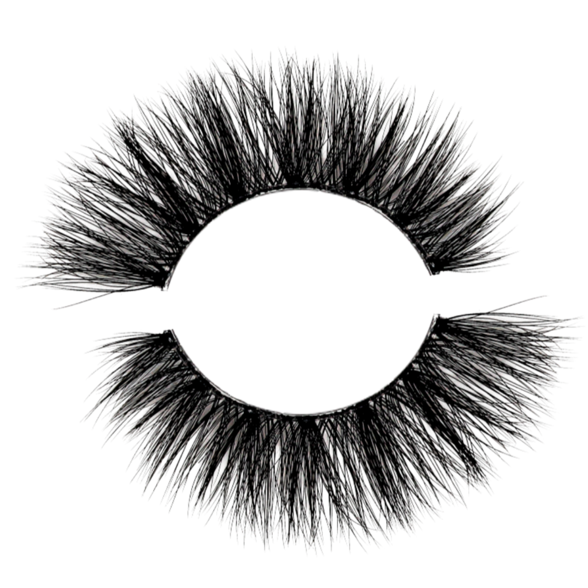 GIGI LASHES