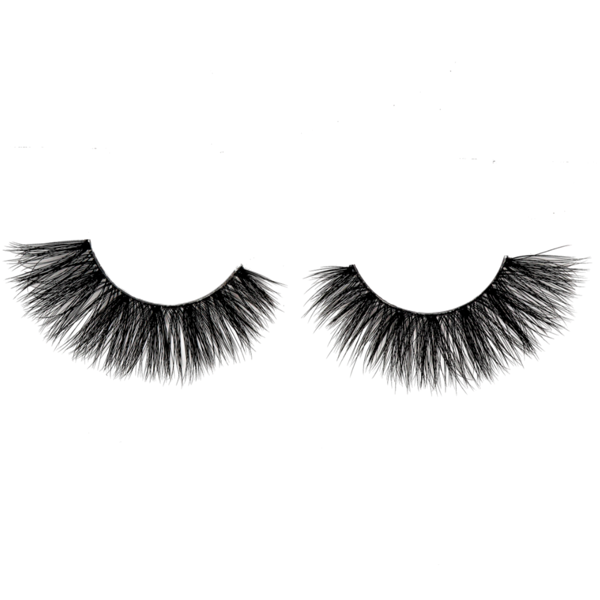 GIGI LASHES