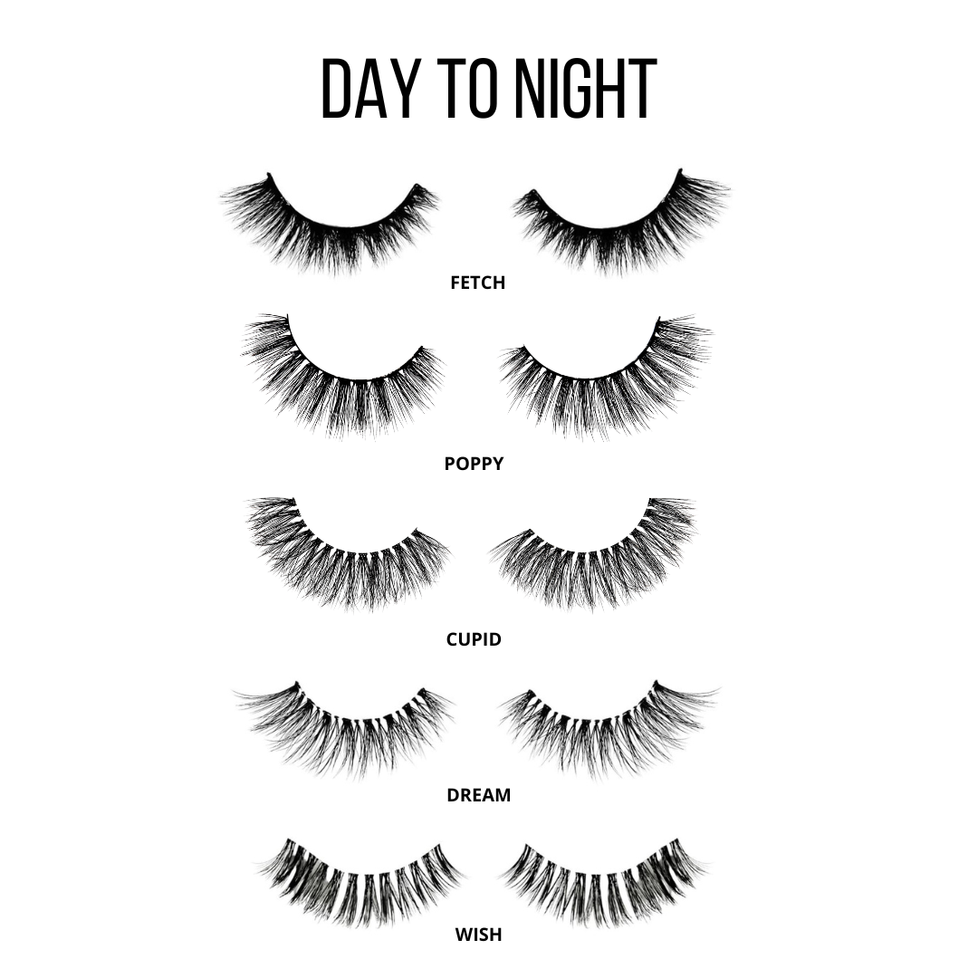 DAY TO NIGHT *NEW*