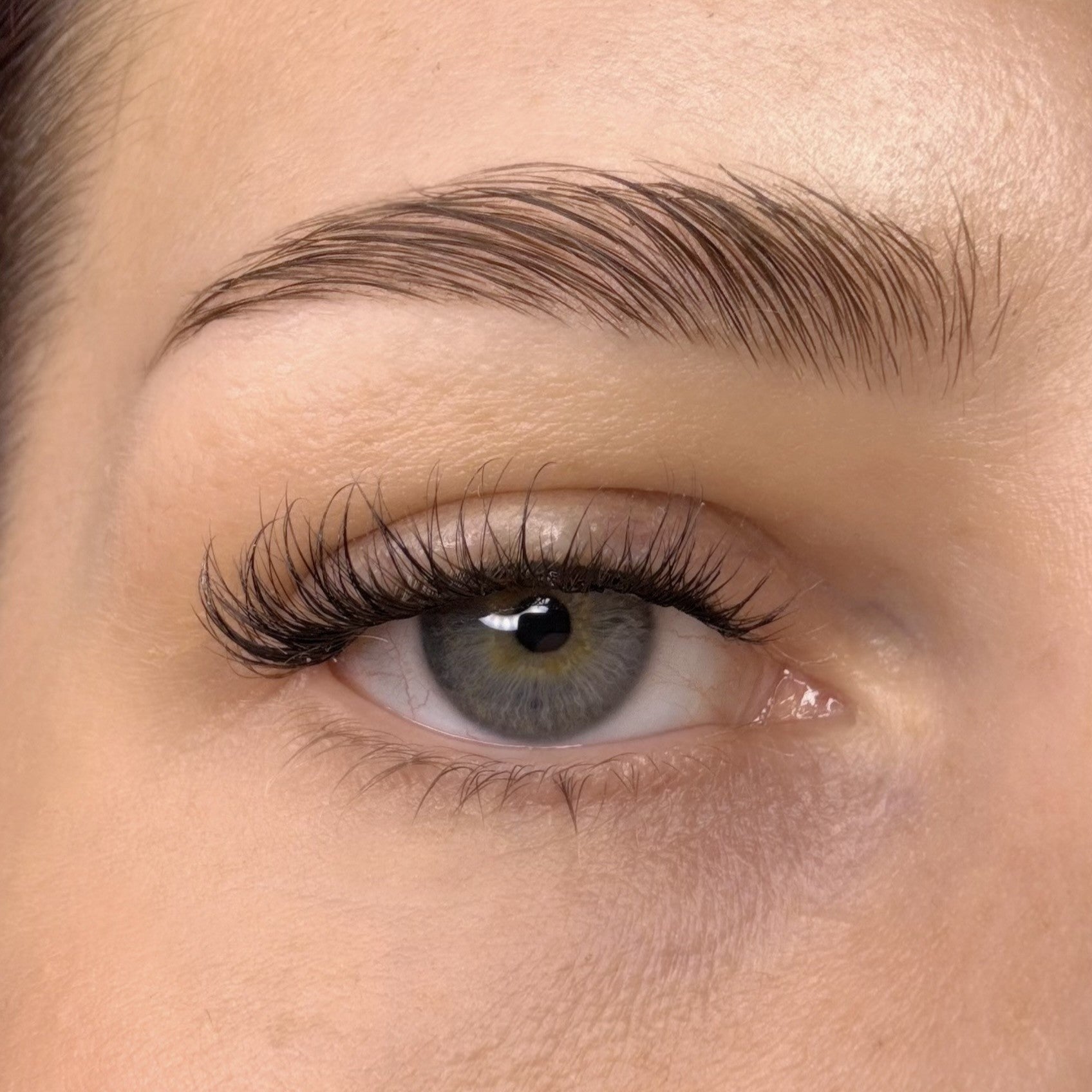 OLD MONEY pre-glued cluster lashes
