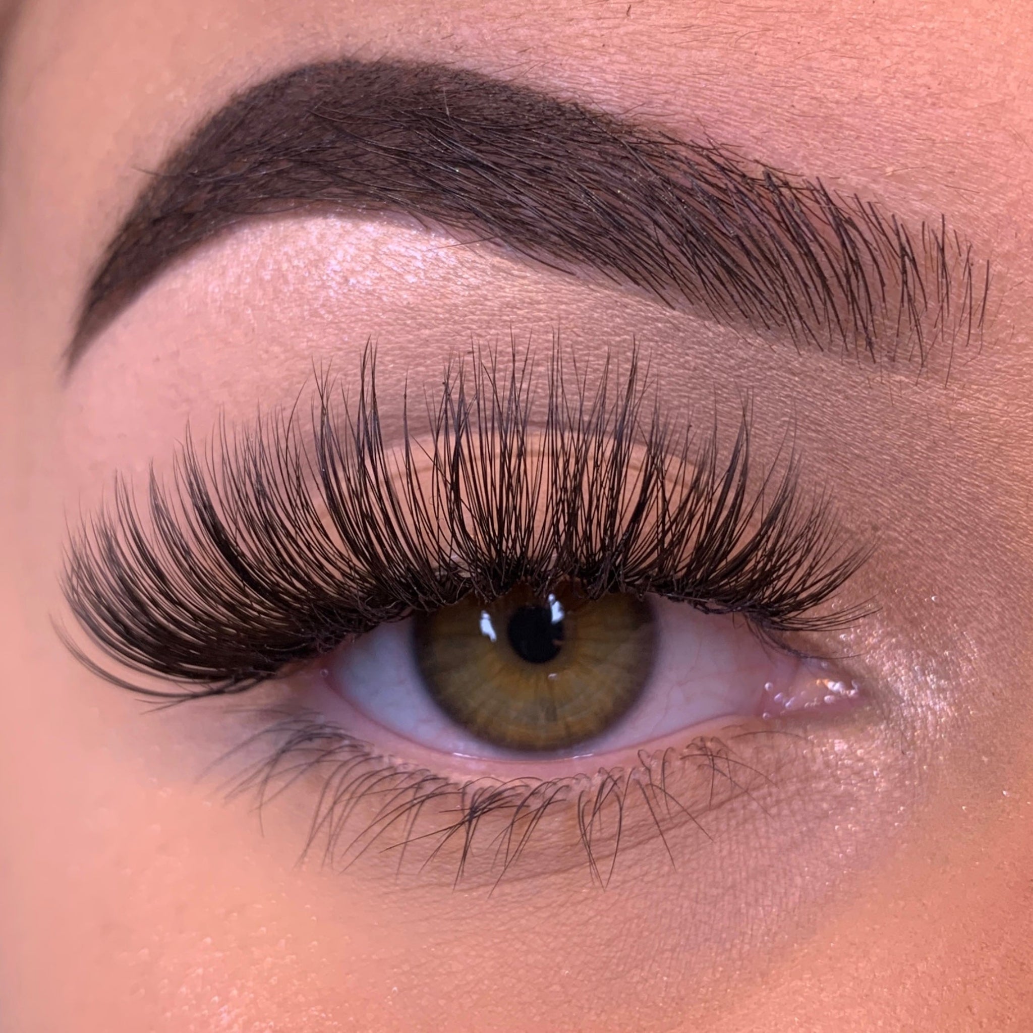 BITTERSWEET LASHES